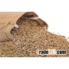 Rye grain