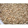 Promotion Sales Rye Grains