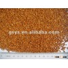 red broomcorn millet 2013 crop
