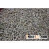 Rye Grains Premium Quality Grade A