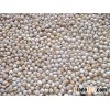 Red And White Sorghum For Sale / Sorghum Flour White / Sorghum grains