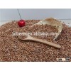 2015 good quality glutinous red sorghum