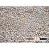 White Sorghum grains !!