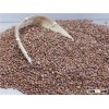 MP Hot Sale 99% Purity Red Sorghum for Human