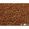 Sorghum red