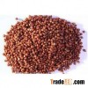 RED SORGHUM