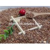 Wholesale 2015 High quality red sorghum