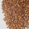 New Crop Market Price Red Sorghum For Sale