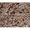 White sorghum Chinese Quality
