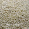 white sorghum seeds for animal feed