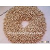 New Crop good quality raw white sorghum