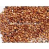 Red sorghum in low price with good quality