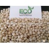 2015 good quality glutinous white sorghum