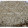 White Sorghum Best Quality