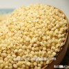 feed sorghum seeds competitive supplier