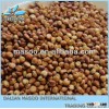 2013 crop large quantity grain sorghum red sorghum best price