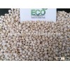 white sorghum red sorghum