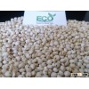 Indian Bulk White Sorghum Supplier