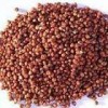 RED SORGHUM