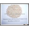 2013 Chinese new crop White Sorghum (GF2)