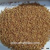 red sorghum for animal feed