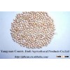 Chinese White Sorghum