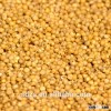 feed grain sorghum for sale