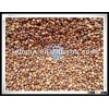 HIgh quality unshell machine pick red sorghum
