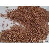 2012 99% Purity Red Sorghum for Human