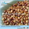 grain sorghum for sale bulk red sorghum in 25kg 50kg 60kg