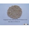 2012 White Sorghum for Sale