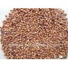 High Quality Red Sorghum