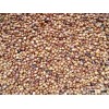 Chinese red sorghum for MC
