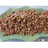 China sorghum bulk red Sorghum large quantity supply