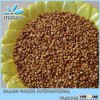 Chinese Grain Sorghum Rice for Sale