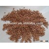 New crop red sorghum