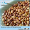 Bird Food White Sorghum Price