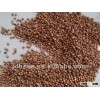 High Quality Red Sorghum 2012 crop