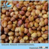 brew rew sorghum - rad sorghum