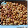 Chinese Red Sorghum, White Sorghum