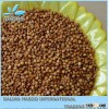 2014 crop sorghum best price