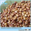 sorghum bran 2013 TOP