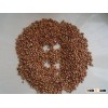 high purity red sorghum