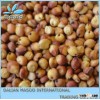 Red Sorghum-30