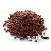 Sorghum (Human and Animal)