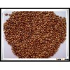 Red Sorghum bird feed for sale