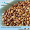 Eating Sorghum Rice