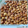 Bird Food and Seed