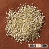 Quinoa Grain - Wholesale Price - www.agriprices.com - Visit Site For Free Samples