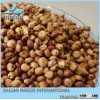 sweet sorghum seed